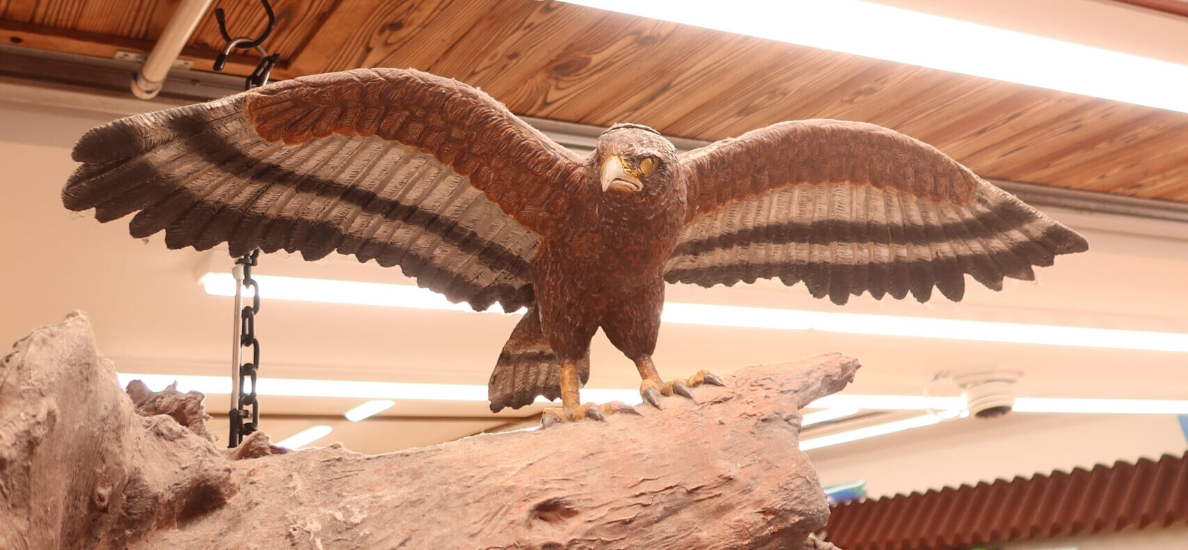 唄で場がふわっと開く ― 八重山の「座開き」と古謡の力