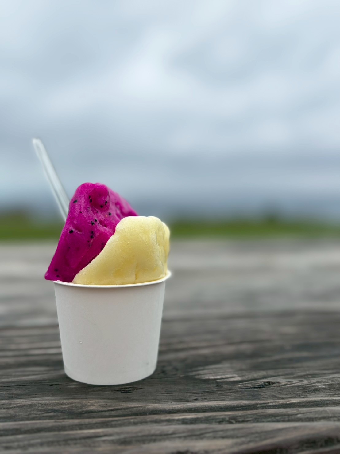 ミルミル本舗のジェラート