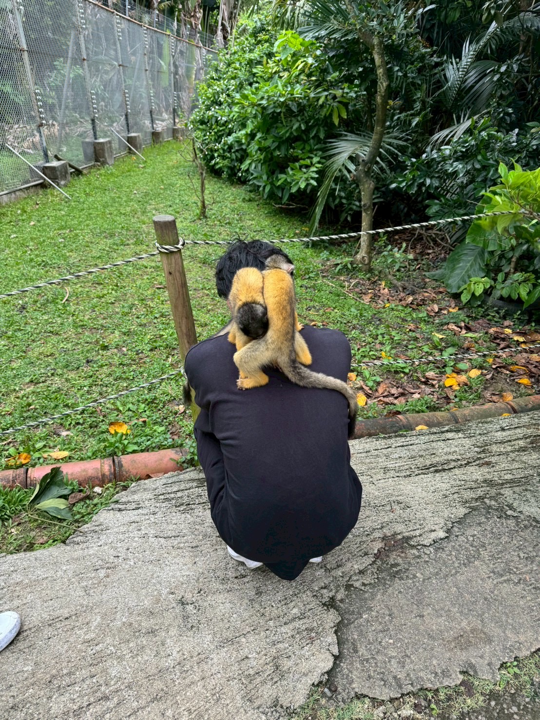 やいま村のイメージ